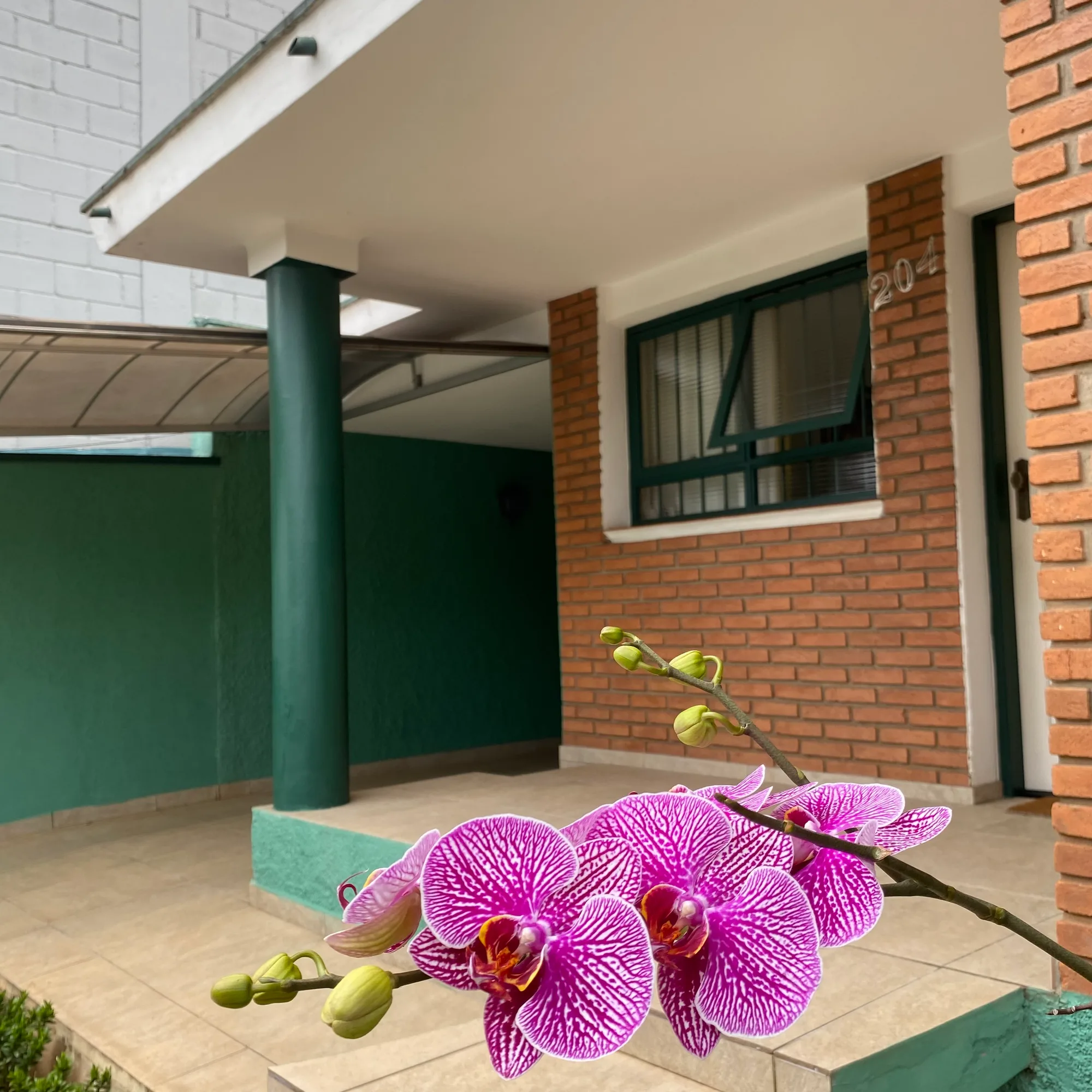 Casa aconchegante com quintal amplo, varanda e muito bem localizada! 
