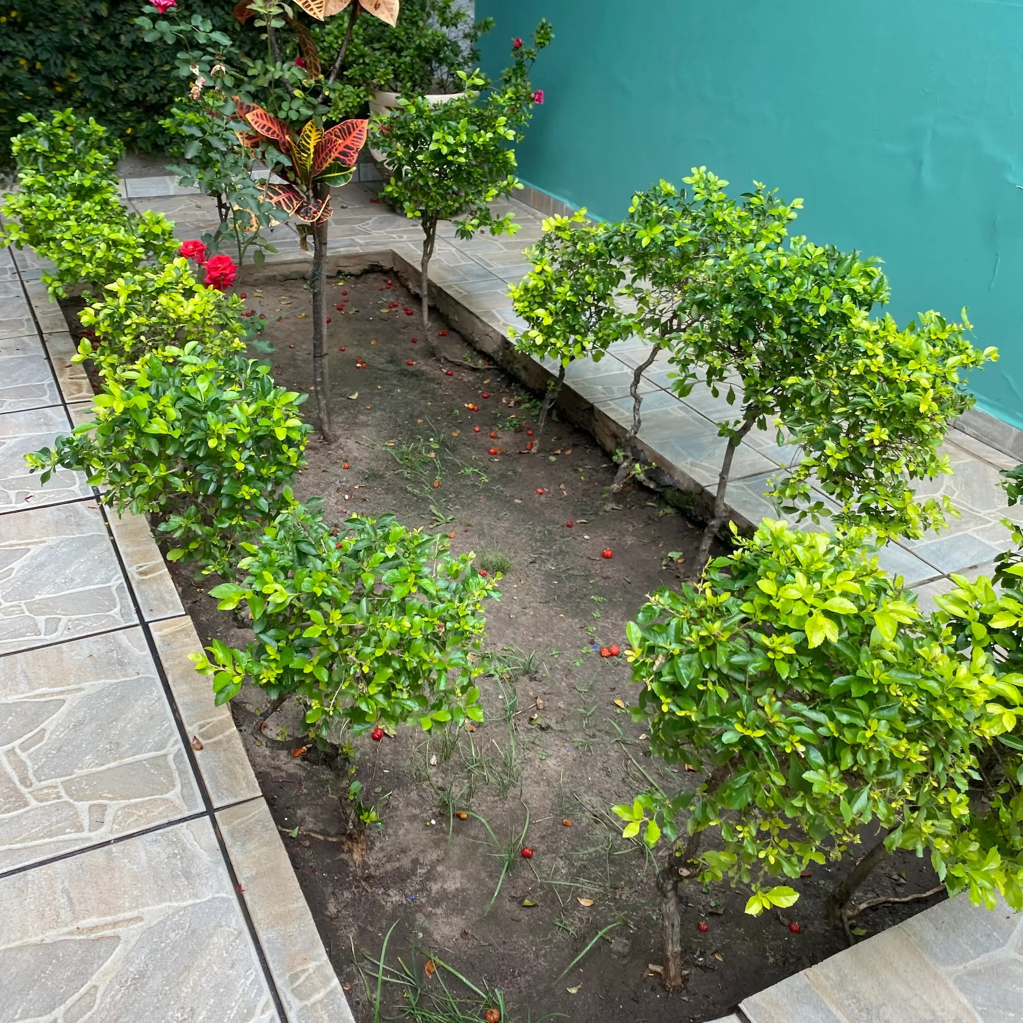casa à venda em Jardim Convenção, Itu - SP: generoso