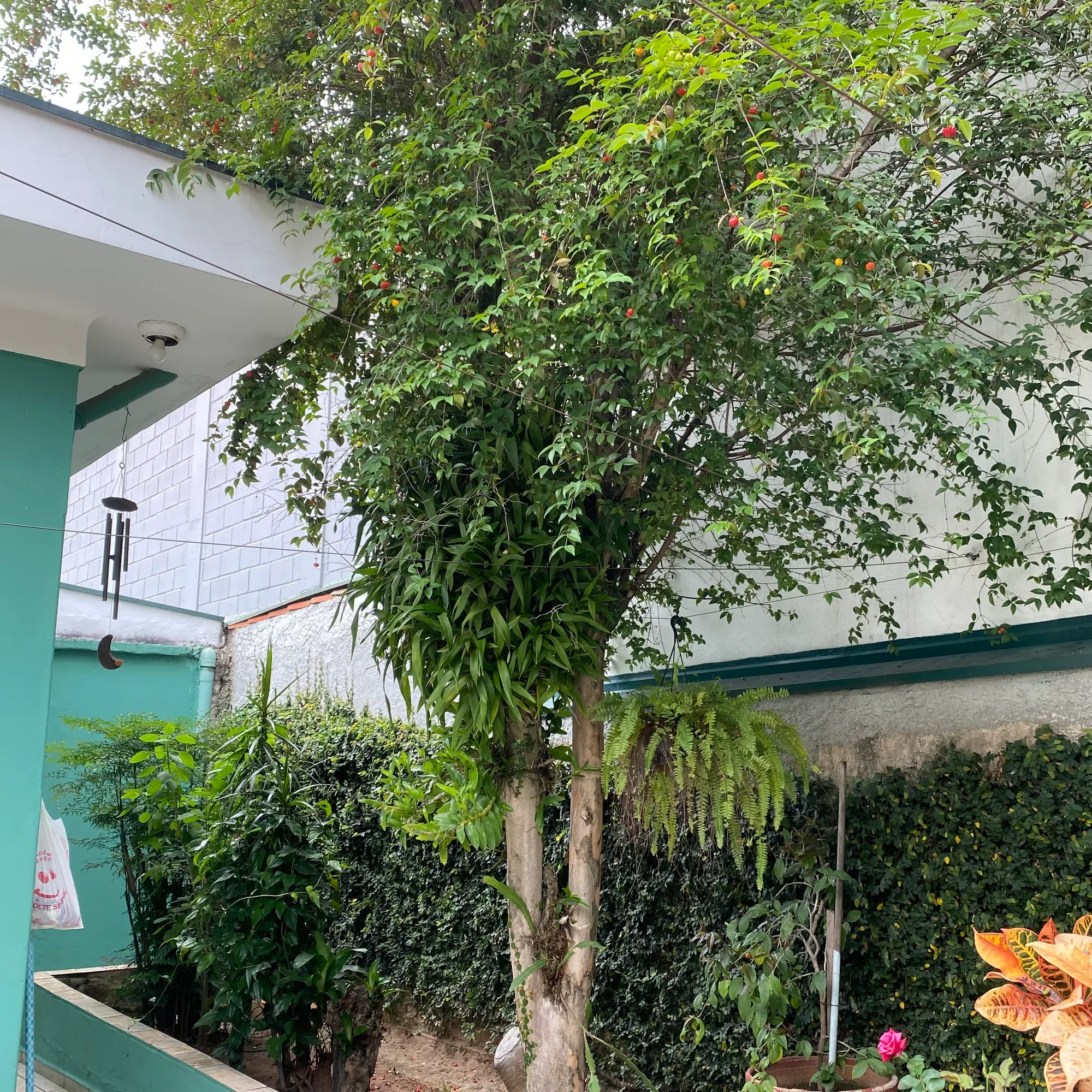 casa à venda em Jardim Convenção, Itu - SP: impecavel